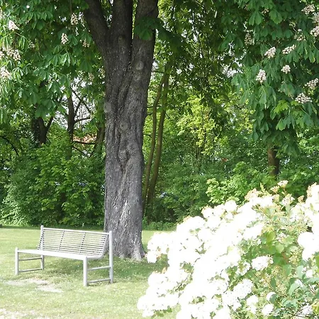 Guest house Haus Am Bach - Gemuetliche Pension 2*